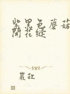 紫黑色蘑菇头顶开花缝