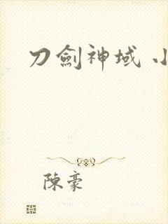 刀剑神域 小说
