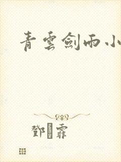 青云剑雨小说