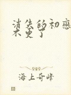 消失的初恋为啥不更了