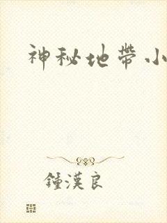 神秘地带小说