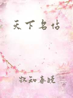 天下名站