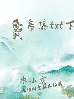 飞鸟集txt下载