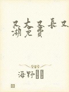 又大又长又租高湖免费