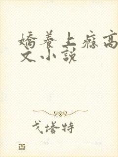 娇养上瘾高H爽文小说