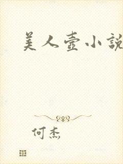 美人壶小说