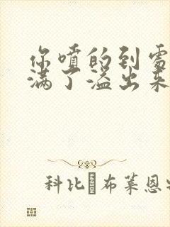 你喷的到处都是满了溢出来了