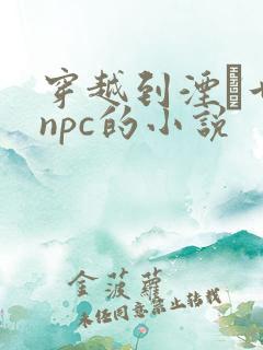 穿越到湮婸世界npc的小说