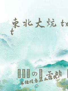 东北大炕 txt