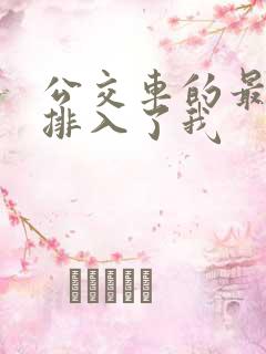 公交车的最后一排入了我