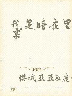 我是暗夜里的罂粟