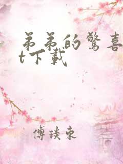 弟弟的惊喜txt下载