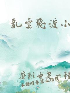 乱云飞渡小说