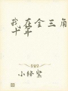 我在金三角卧底十年