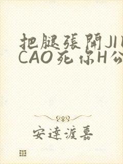 把腿张开JI巴CAO死你H公园