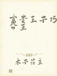 富贵王子巧遇穷公主