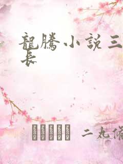 龙腾小说三宝局长