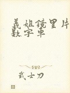 义姐镜里片微博数字车