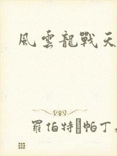 风云龙战天下
