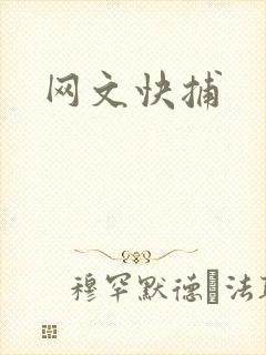 网文快捕