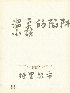 温柔的陷阱周芸小说