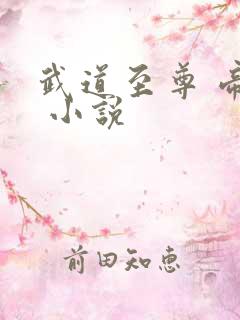 武道至尊 帝临 小说