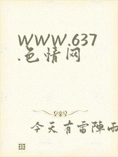 WWW.637.色情网