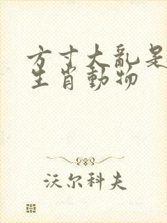 方寸大乱是什么生肖动物