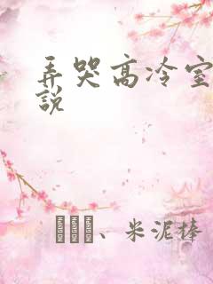 弄哭高冷室友小说