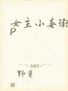 女主小妾卫府NP