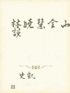 林晓慧金山的小说