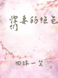 悍妻的绝色夫君们