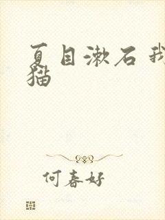 夏目漱石 我是猫