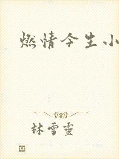 燃情今生小说