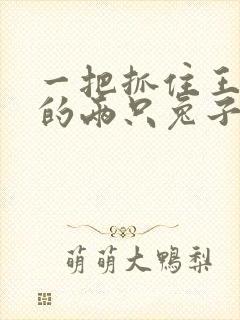 一把抓住王昭君的两只兔子