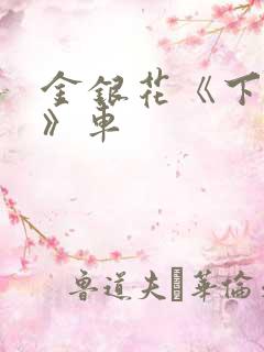 金银花《下厨房》车