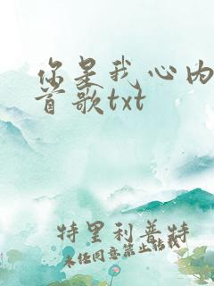 你是我心内的一首歌txt