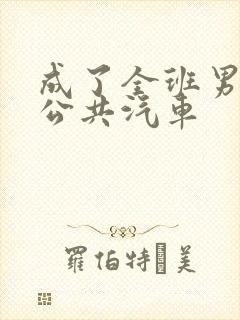 成了全班男生的公共汽车