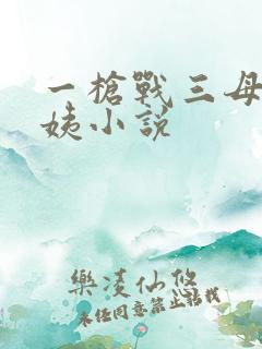 一枪战三母2雪姨小说