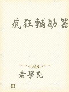 疯狂辅助器