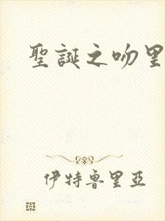 圣诞之吻里沙篇