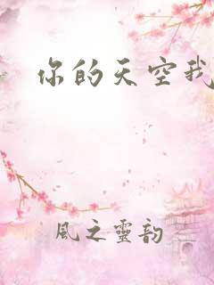 你的天空我的城