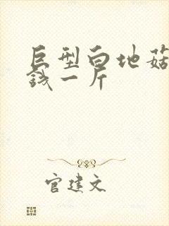 巨型白地菇多少钱一斤