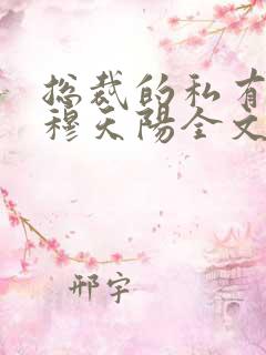 总裁的私有宝贝穆天阳全文阅读