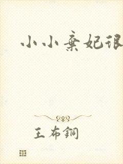 小小弃妃很倾城