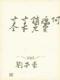 寸寸销魂何生祥全本免费