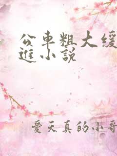 公车粗大缓缓挤进小说