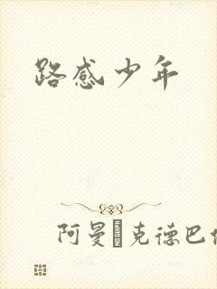 路感少年