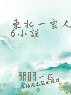 东北一家人1一6小说