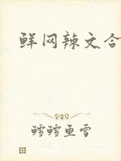 鲜网辣文合集
